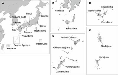 Latest and comprehensive mitochondrial DNA haplotype data on green and hawksbill turtles collected in their habitats in Japan